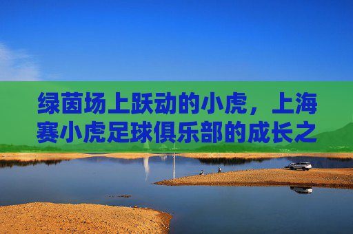 绿茵场上跃动的小虎，上海赛小虎足球俱乐部的成长之路