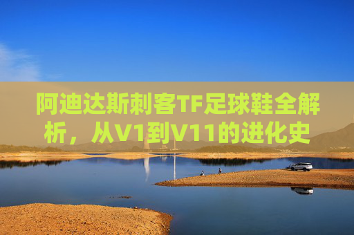阿迪达斯刺客TF足球鞋全解析,从V1到V11的进化史与选购指南