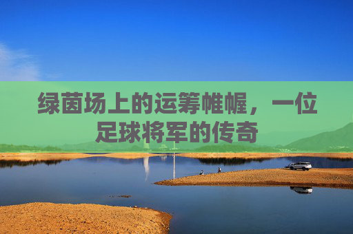 绿茵场上的运筹帷幄，一位足球将军的传奇
