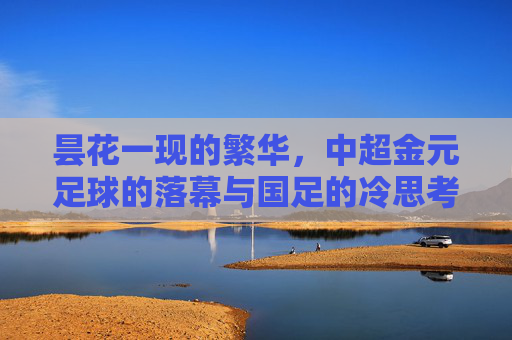 昙花一现的繁华,中超金元足球的落幕与国足的冷思考