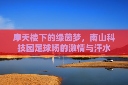 摩天楼下的绿茵梦,南山科技园足球场的激情与汗水