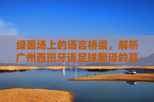 绿茵场上的语言桥梁，解析广州西班牙语足球翻译的幕后故事