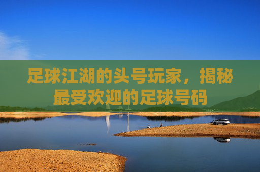 足球江湖的头号玩家,揭秘最受欢迎的足球号码