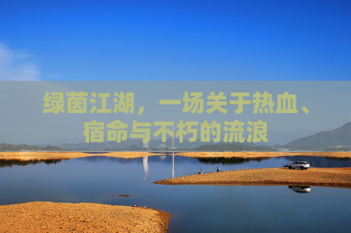 绿茵江湖,一场关于热血、宿命与不朽的流浪
