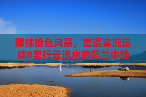 那抹橙色风暴，重温实况足球8里行云流水的荷兰中场艺术
