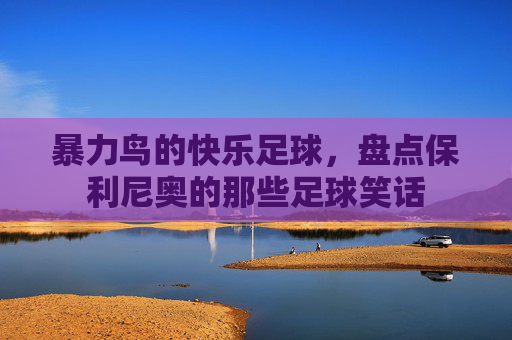 暴力鸟的快乐足球，盘点保利尼奥的那些足球笑话