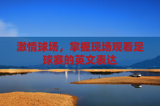 激情球场，掌握现场观看足球赛的英文表达