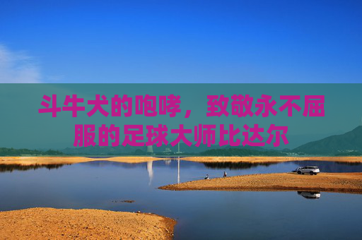 斗牛犬的咆哮，致敬永不屈服的足球大师比达尔
