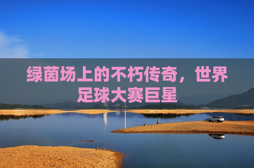 绿茵场上的不朽传奇，世界足球大赛巨星