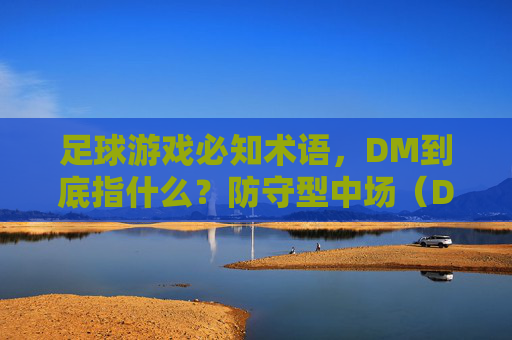 足球游戏必知术语,DM到底指什么?防守型中场(Defensive Midfielder)全解析