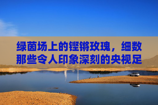 绿茵场上的铿锵玫瑰，细数那些令人印象深刻的央视足球女主持