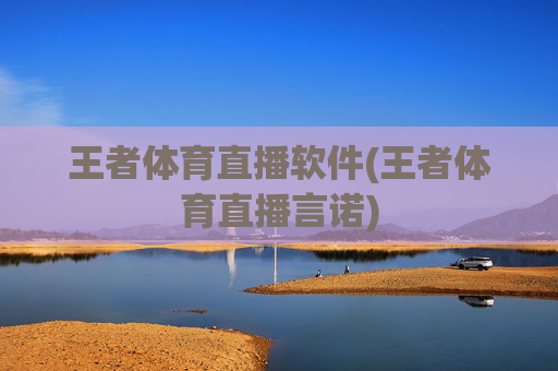 王者体育直播软件(王者体育直播言诺)