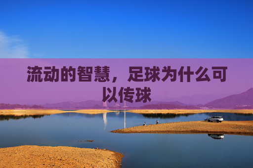 流动的智慧，足球为什么可以传球