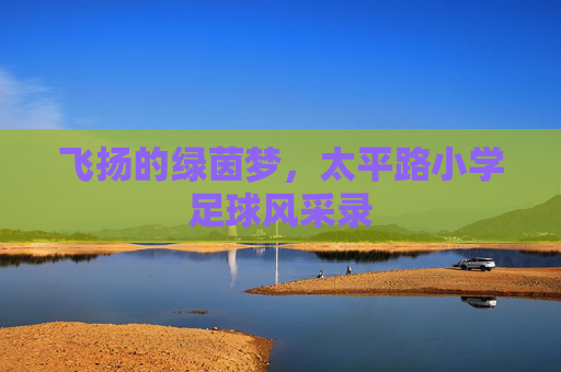 飞扬的绿茵梦，太平路小学足球风采录