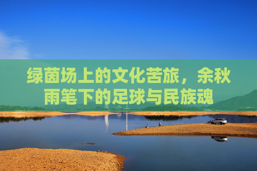 绿茵场上的文化苦旅,余秋雨笔下的足球与民族魂