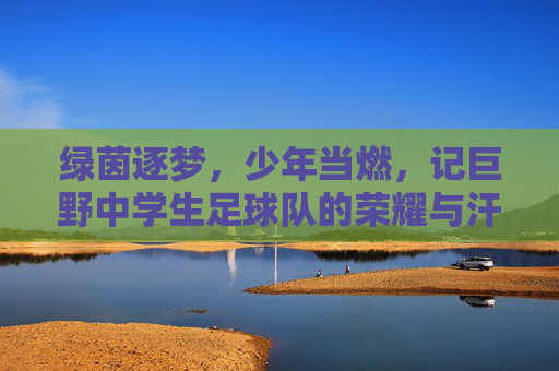 绿茵逐梦，少年当燃，记巨野中学生足球队的荣耀与汗水