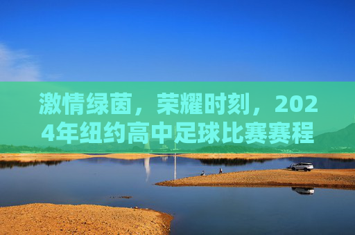激情绿茵,荣耀时刻,2024年纽约高中足球比赛赛程全指南