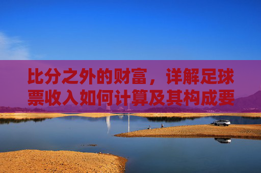 比分之外的财富，详解足球票收入如何计算及其构成要素