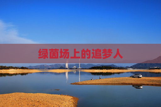 绿茵场上的追梦人