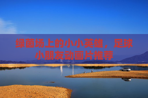 绿茵场上的小小英雄,足球小朋友动画片推荐