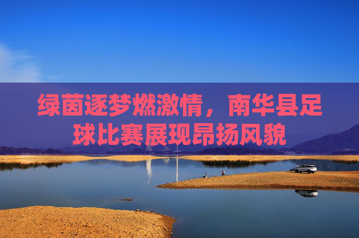 绿茵逐梦燃激情，南华县足球比赛展现昂扬风貌