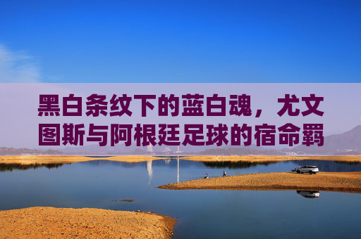 黑白条纹下的蓝白魂，尤文图斯与阿根廷足球的宿命羁绊