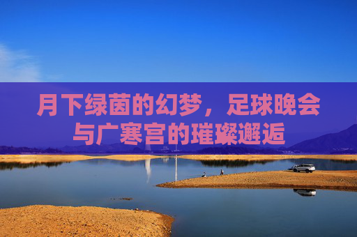 月下绿茵的幻梦，足球晚会与广寒宫的璀璨邂逅