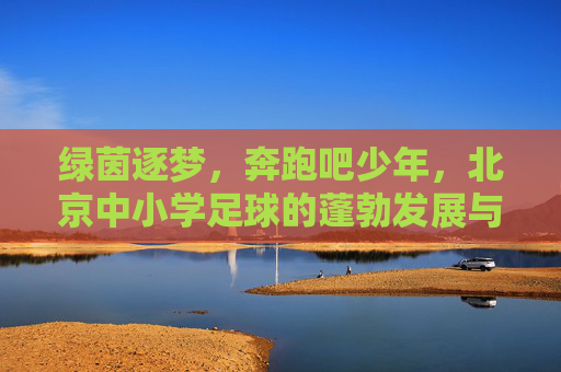 绿茵逐梦,奔跑吧少年,北京中小学足球的蓬勃发展与未来展望