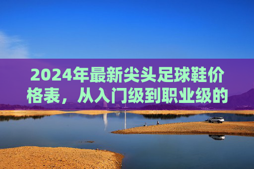 2024年最新尖头足球鞋价格表,从入门级到职业级的全面解析