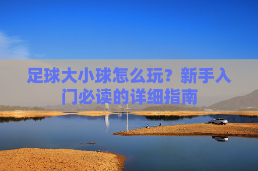 足球大小球怎么玩？新手入门必读的详细指南