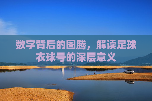 数字背后的图腾，解读足球衣球号的深层意义
