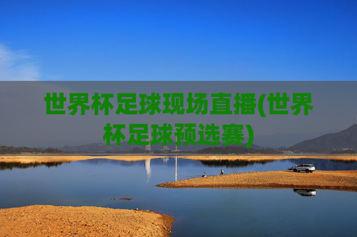 世界杯足球现场直播(世界杯足球预选赛)