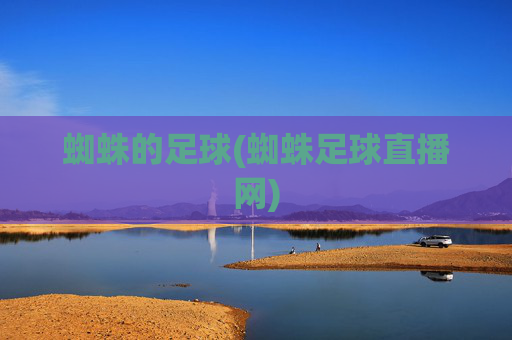 蜘蛛的足球(蜘蛛足球直播网)