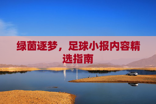 绿茵逐梦，足球小报内容精选指南