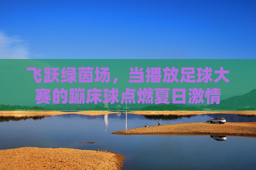 飞跃绿茵场,当播放足球大赛的蹦床球点燃夏日激情