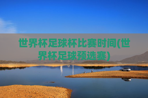 世界杯足球杯比赛时间(世界杯足球预选赛)