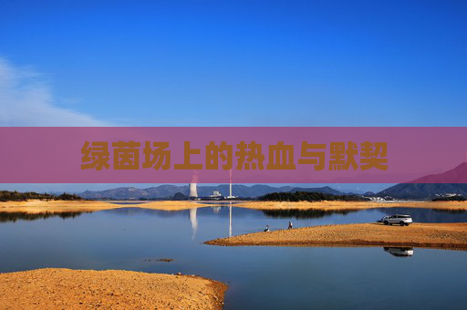 绿茵场上的热血与默契
