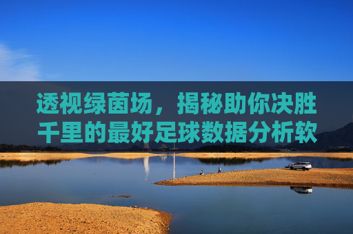 透视绿茵场，揭秘助你决胜千里的最好足球数据分析软件