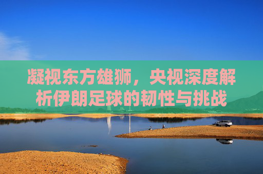 凝视东方雄狮,央视深度解析伊朗足球的韧性与挑战