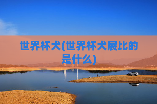 世界杯犬(世界杯犬展比的是什么)