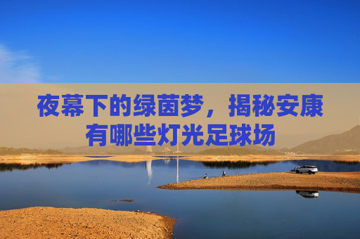 夜幕下的绿茵梦，揭秘安康有哪些灯光足球场