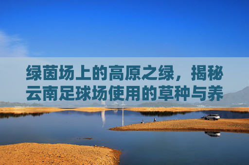 绿茵场上的高原之绿,揭秘云南足球场使用的草种与养护之道