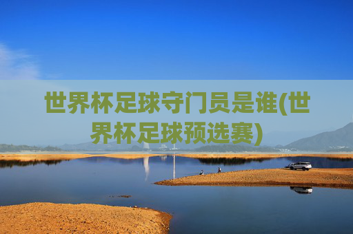 世界杯足球守门员是谁(世界杯足球预选赛)