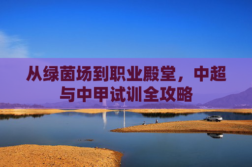 从绿茵场到职业殿堂，中超与中甲试训全攻略
