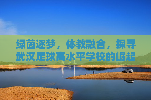 绿茵逐梦,体教融合,探寻武汉足球高水平学校的崛起之路