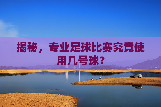 揭秘，专业足球比赛究竟使用几号球？