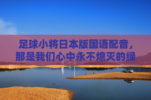 足球小将日本版国语配音,那是我们心中永不熄灭的绿茵梦想