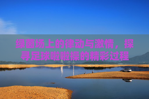 绿茵场上的律动与激情，探寻足球啦啦操的精彩过程