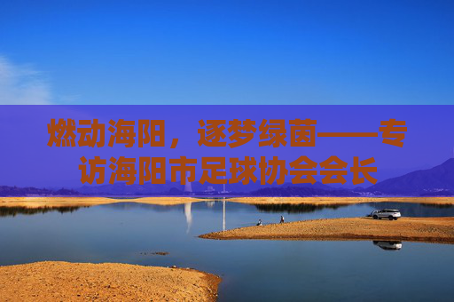 燃动海阳,逐梦绿茵——专访海阳市足球协会会长