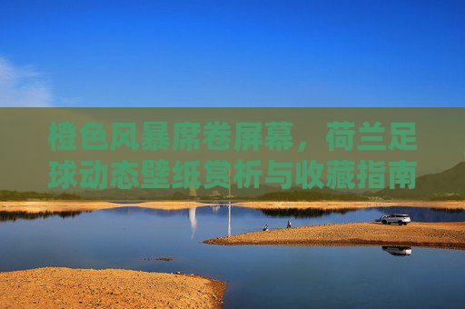 橙色风暴席卷屏幕，荷兰足球动态壁纸赏析与收藏指南